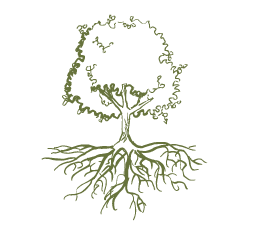 Architectes paysagistes Expertises patrimoine arboré à Genève et Nyon