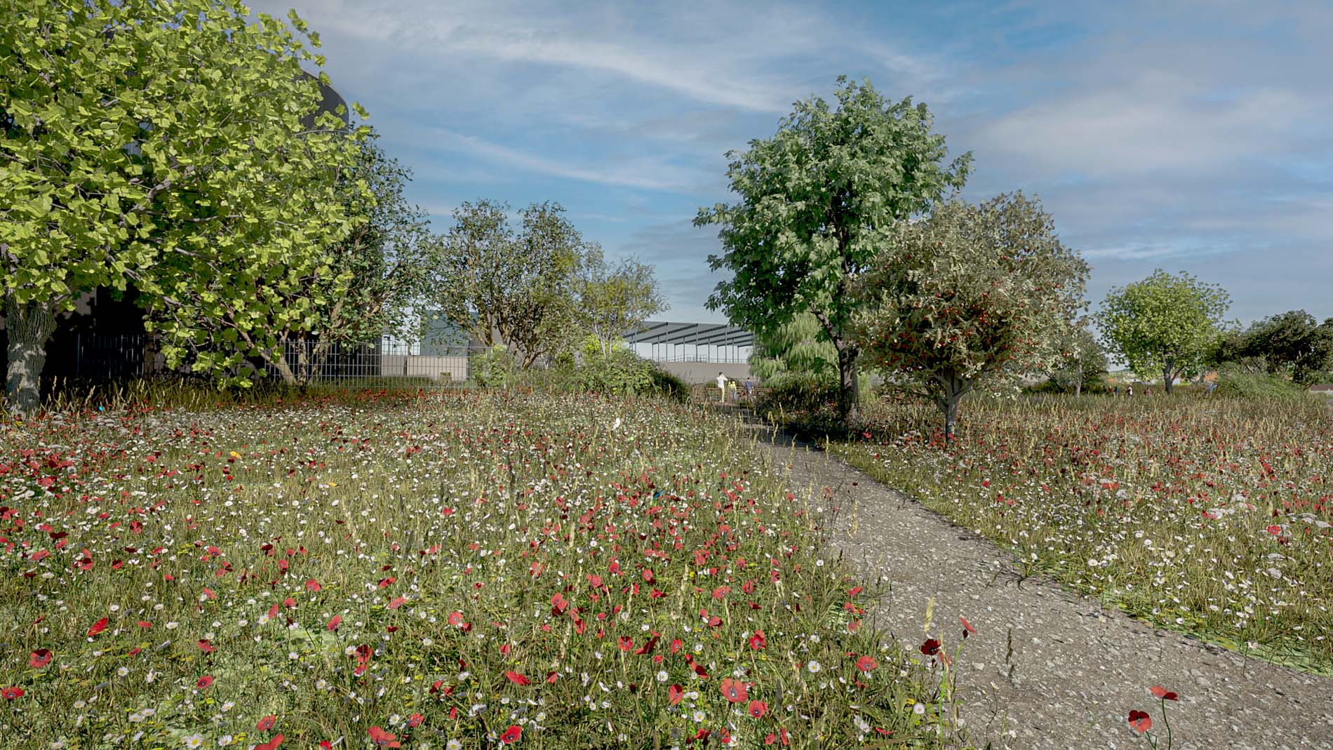 Landscaping - Step-Gland - Landscape Architects
