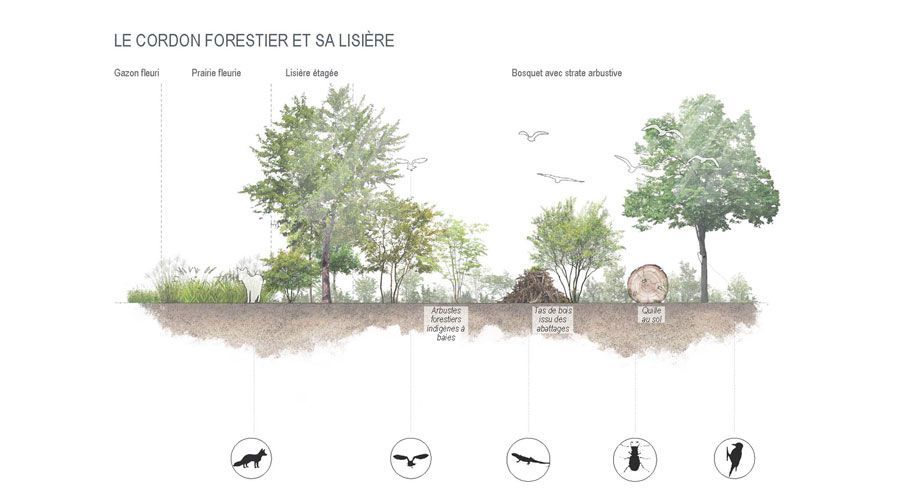 biodiversity-Lausanne-Gland-STEP