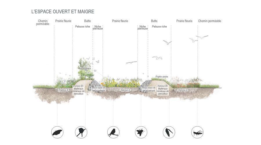 STEP-de-Gland-Biodiversite-Vaud