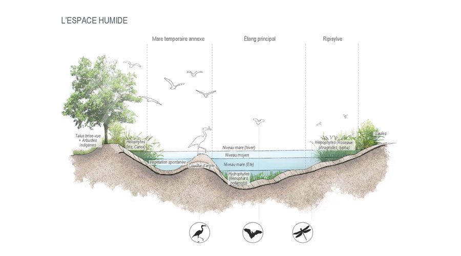 Coupe-amenagements-step-de-Gland-vaud